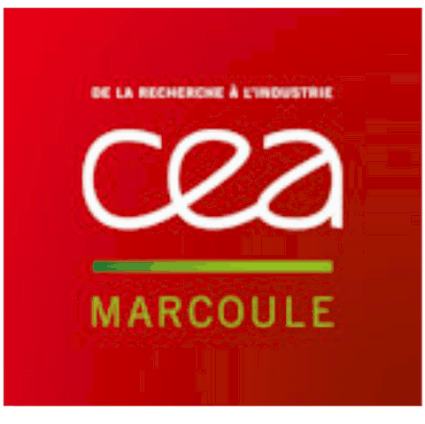 CEA MARCOULE partenaires IBL84 - 84130 Le Pontet - formation linguistique